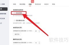 网易有道词典自动发音设置