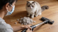 2026女生养宠吸尘器选购指南：防缠绕与自动集尘技术解析，告别毛发清理困扰