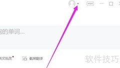 网易有道词典自动发音设置
