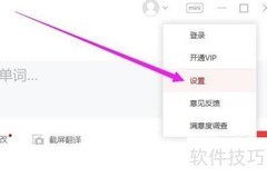 网易有道词典自动发音设置