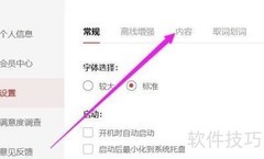 网易有道词典自动发音设置