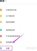 有道词典自动发音设置方法