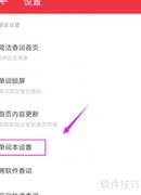 有道词典自动发音设置方法