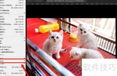 Photoshop灰度模式设置方法
