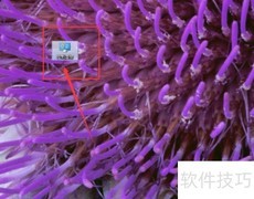 思科RV320中文设置指南
