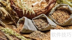 健身新手饮食安排指南