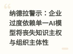 纳德拉警示：企业过度依赖单一AI模型将丧失知识主权与组织主体性