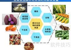 高效减肥秘诀，轻松瘦身成功