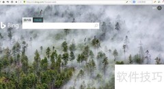 微软Bing今日美图下载指南