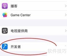关闭iPhone14 Cache Buster方法