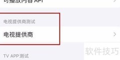 iPhone14开启Cache Buster方法