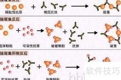 血型知多少：揭秘你的血型秘密