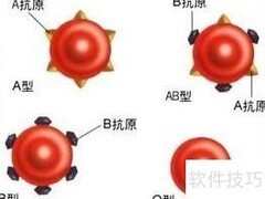 血型知多少：揭秘你的血型秘密