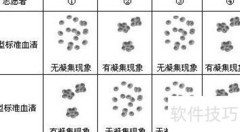血型知多少：揭秘你的血型秘密
