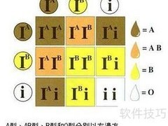 血型揭秘：你的血型决定什么