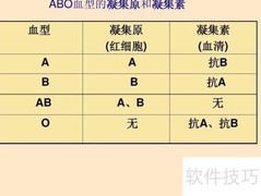 血型揭秘：你的血型决定什么