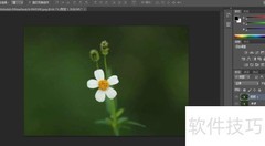 PS等比例裁剪图片技巧