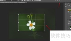 PS等比例裁剪图片技巧