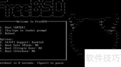 FreeBSD 9.1安装图解