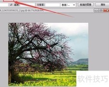 图片等比例缩放技巧