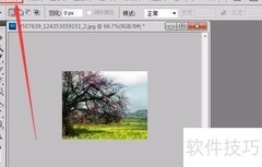 图片等比例缩放技巧