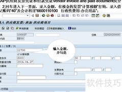 SAP供应商发票付款凭证