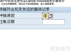 SAP取消发票凭证流程