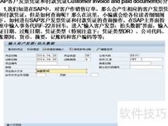 SAP客户发票与付款凭证