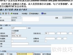 SAP客户发票与付款凭证