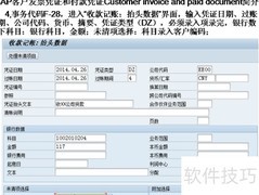 SAP客户发票与付款凭证