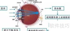 老花镜防蓝光方法揭秘