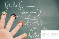 标书翻译核心要求