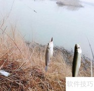 鱼竿软硬如何快速分辨
