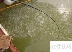鱼竿软硬如何快速分辨