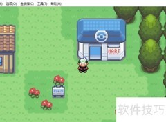 口袋妖怪金手指使用教程
