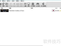 Dolphin模拟器金手指设置教程