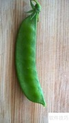 荷兰豆去筋小技巧