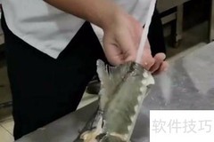 鲟鱼筋快速抽取方法