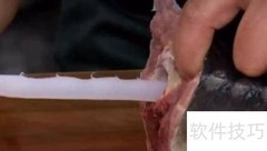 鲟鱼筋快速抽取方法