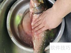 胖头鱼去腥筋技巧