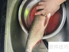 胖头鱼去腥筋技巧