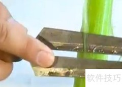 芹菜去筋的3个实用小技巧
