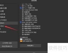 SolveigMM Video禁用最近文件记录