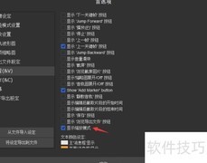 SolveigMM Video关闭缩放显示