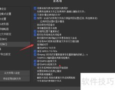 SolveigMM Video禁用帧对齐方法