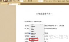 极速PDF阅读器文档对比方法