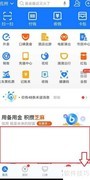支付宝会员管理指南