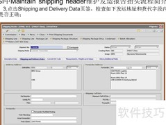 PSI中维护发运单抬头