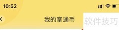 掌通币收支明细