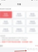 掌通家园掌通币支付指南